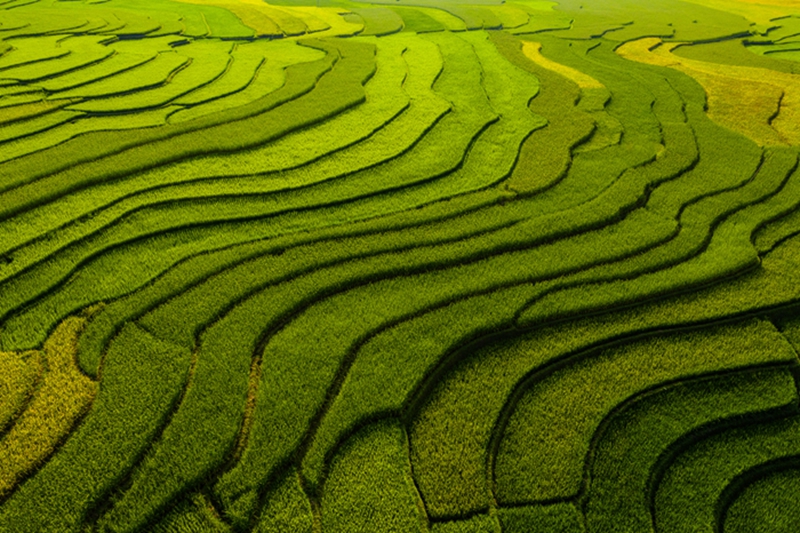 重慶：2025上半年農(nóng)機(jī)進(jìn)出口情況及下半年市場預(yù)測