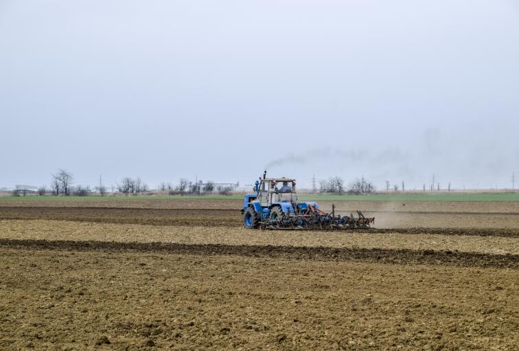 節氣農事活動│小寒料峭 盼雪迎春