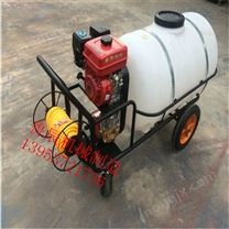 江蘇果園用手推式打藥機(jī)哪里好 打藥機(jī)類型