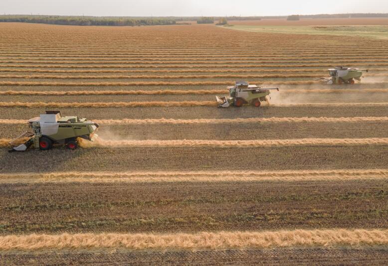 《大连市2025年保护性耕作实施方案（征求意见稿）》发布