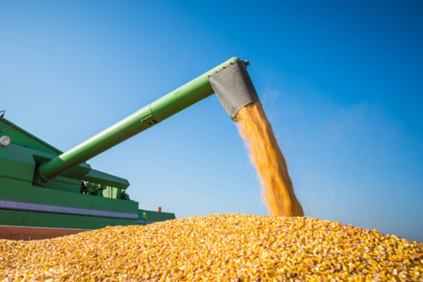 2025年河南农机社会化服务工作座谈会在信阳举办 明确下一步工作思路和重点