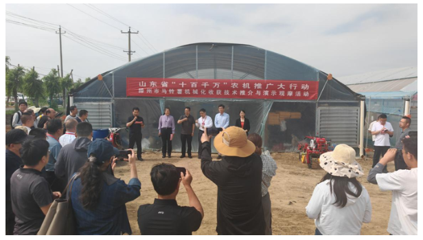 棗莊暨滕州馬鈴薯機械化收獲技術推介與演示觀摩活動在滕州舉辦
