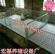 供应双体小猪保育床 仔猪育肥栏加重养猪设备 养猪设备品牌厂家