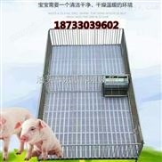 供应小猪保育床加重铸铁保育栏养猪设备 小猪保育床尺寸