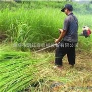 背負(fù)式除草機(jī)二/四沖程 汽油松土機(jī)園藝工具價(jià)格 新型除草機(jī)多少錢一臺(tái)