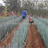 開溝微耕機(jī)全新多功能田園管理機(jī) 生姜開溝培土機(jī) 開溝起壟機(jī) 田園管理機(jī)